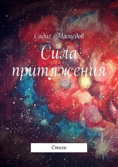 Садиг Мамедов - Сила притяжения. Стихи