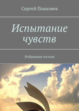 Сергей Поваляев Испытание чувств. Избранная поэзия обложка книги
