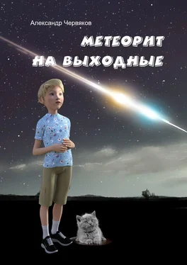 Александр Червяков Метеорит на выходные. Повесть и рассказы обложка книги