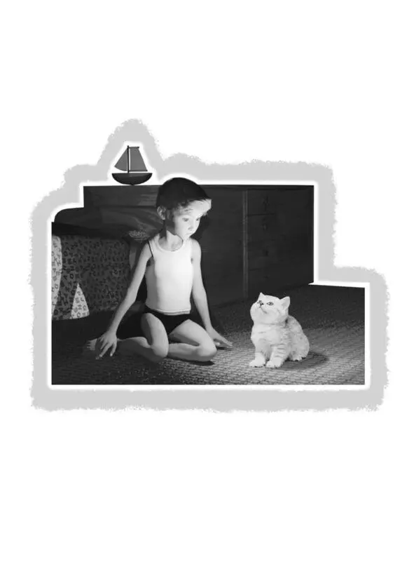 Если Вы не котёнок тогда кто Вы Конечно же не Вас персонально - фото 4