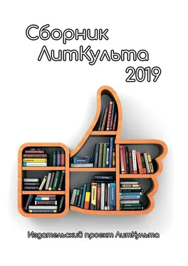 Элла Птица Сборник ЛитКульта 2019 обложка книги