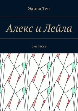 Элина Тен Алекс и Лейла. 3-я часть обложка книги