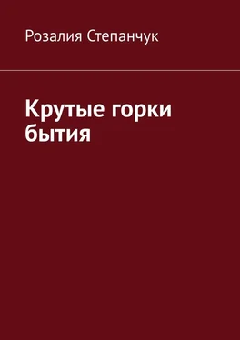 Розалия Степанчук Крутые горки бытия обложка книги