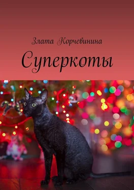 Злата Корчевинина Суперкоты обложка книги