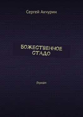 Сергей Акчурин Божественное стадо. Роман обложка книги