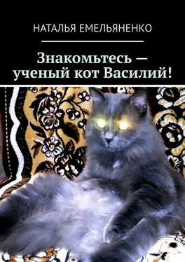 Наталья Емельяненко Знакомьтесь – ученый кот Василий! обложка книги