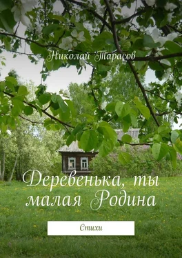 Николай Тарасов Деревенька, ты малая Родина. Стихи обложка книги