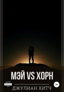 Джулиан Хитч Мэй vs Хорн обложка книги