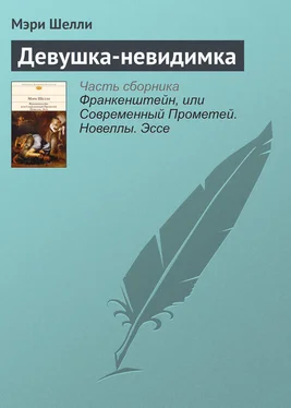 Мэри Шелли Девушка-невидимка обложка книги