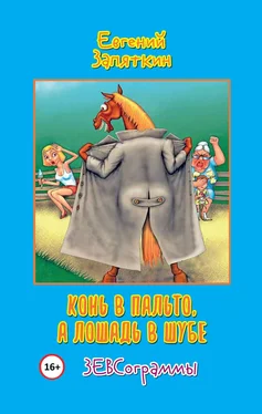 Евгений Запяткин Конь в пальто, а лошадь в шубе. ЗЕВСограммы обложка книги