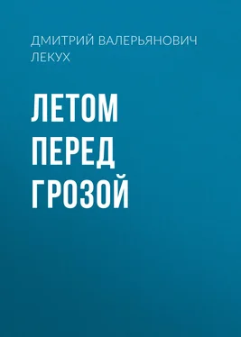 Дмитрий Лекух Летом перед грозой обложка книги