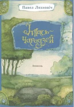 Павел Ляхновіч Ігнась-чарадзей обложка книги