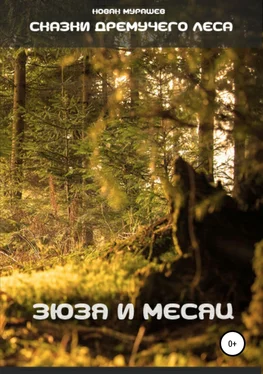 Новак Мурашев Сказки Дремучего леса. Зюзя и Месяц обложка книги