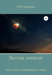 Руслан Мамедов - Волчьи записки