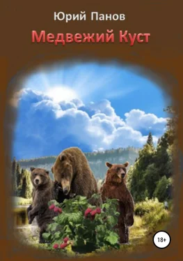 Юрий Панов Медвежий Куст обложка книги