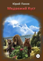 Юрий Панов - Медвежий Куст