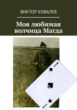 Виктор Ковалев Моя любимая волчица Магда обложка книги