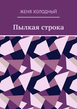 Женя Холодный Пылкая строка обложка книги