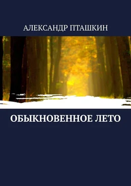 Александр Пташкин Обыкновенное лето обложка книги