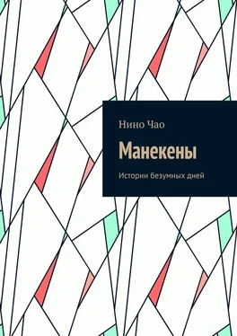 Нино Чао Манекены. Истории безумных дней обложка книги