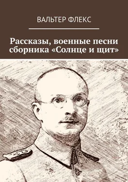 Вальтер Флекс Рассказы, военные песни сборника «Солнце и щит» обложка книги