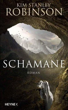 Kim Robinson Schamane обложка книги