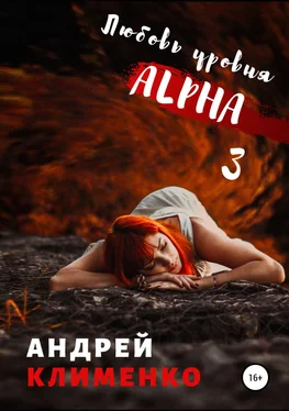 Андрей Клименко Любовь уровня ALPHA 3 обложка книги