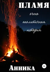 Анника - Пламя. Очень аполитичная история