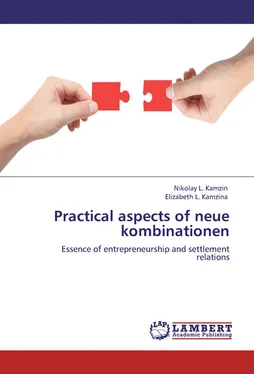 Елизавета Камзина Practical aspects of neue kombinationen. Essence of entrepreneurship and settlement relations обложка книги