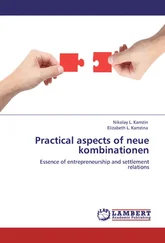 Елизавета Камзина - Practical aspects of neue kombinationen. Essence of entrepreneurship and settlement relations