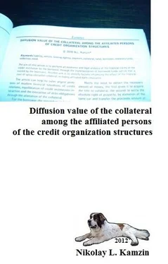 Николай Камзин Diffusion value of the collateral among the affiliated persons of the credit organization structures обложка книги