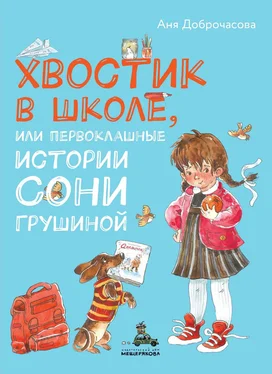 Анна Доброчасова Хвостик в школе, или Первоклашные истории Сони Грушиной обложка книги