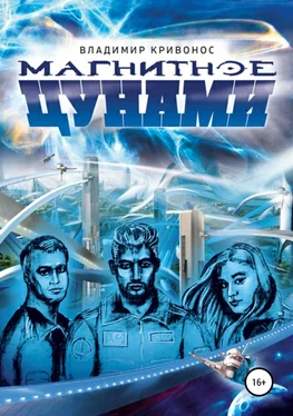 Владимир Кривонос Магнитное цунами обложка книги