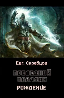 Евгений Скребцов Последний паладин. Рождение обложка книги