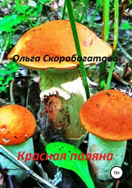 Ольга Скоробогатова Красная поляна обложка книги
