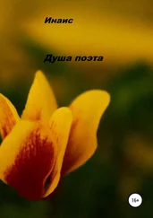 Инаис - Душа поэта