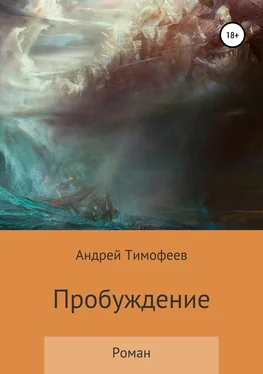 Андрей Тимофеев Пробуждение обложка книги