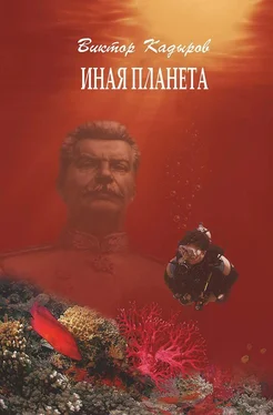 Виктор Кадыров Иная планета (сборник) обложка книги