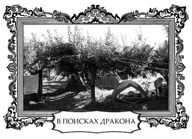 Лагерь археологов расположился в яблоневом саду прямо на берегу ИссыкКуля - фото 18