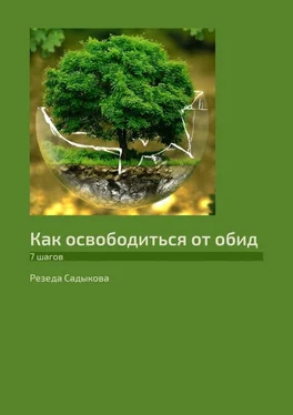 Резеда Садыкова Как освободиться от обид. 7 шагов обложка книги