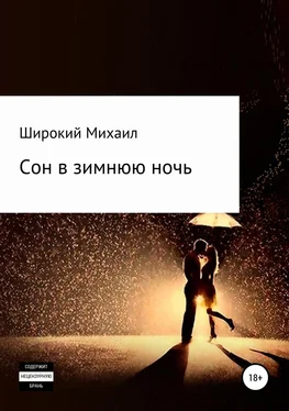 Михаил Широкий Сон в зимнюю ночь