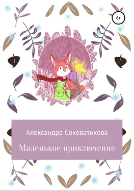 Александра Соковатикова Маленькое приключение обложка книги