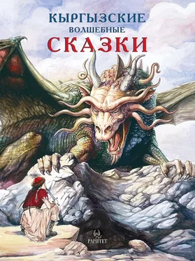 Виктор Кадыров Кыргызские волшебные сказки обложка книги