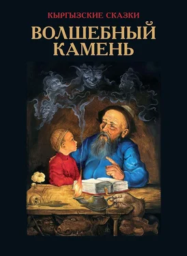 Виктор Кадыров Волшебный камень обложка книги