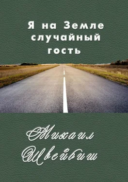 Михаил Швейбиш Я на Земле случайный гость обложка книги