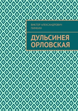 Виктор Пимкин Дульсинея Орловская обложка книги