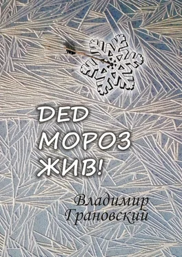 Владимир Грановский Дед Мороз жив! обложка книги