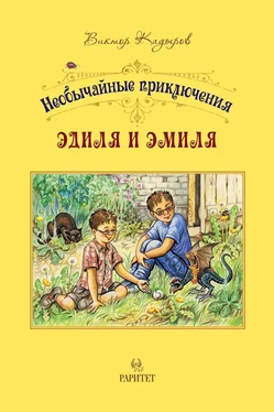 Виктор Кадыров Необычайные приключения Эдиля и Эмиля обложка книги