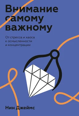 Нин Джеймс Внимание самому важному обложка книги