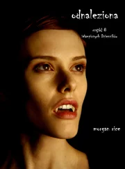 Morgan Rice - Odnaleziona